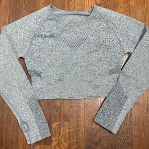 Gray Long Sleeve Athletic Crop Top SZ L